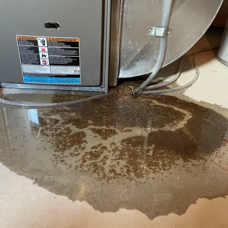 Appliance Leak Cleanup in White Oak, OH